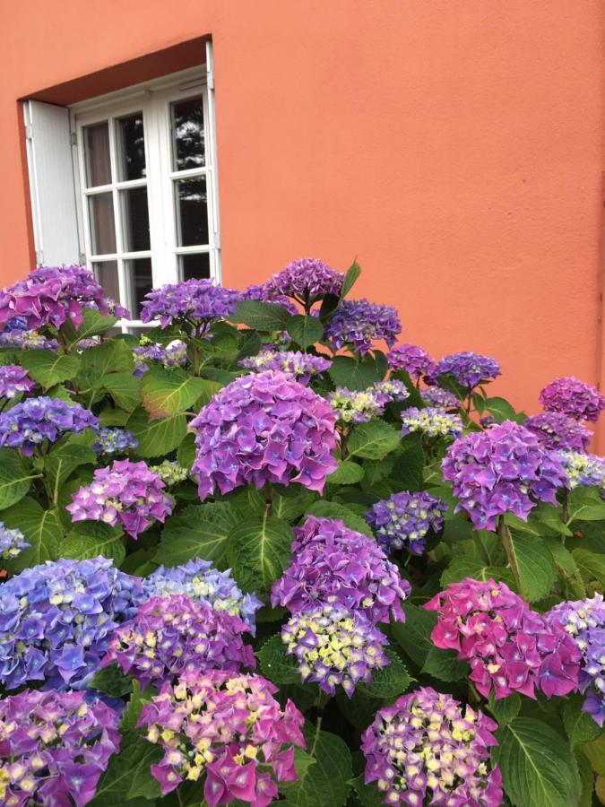 Hotel La Belle Etoile Thouaré-sur-Loire Eksteriør billede